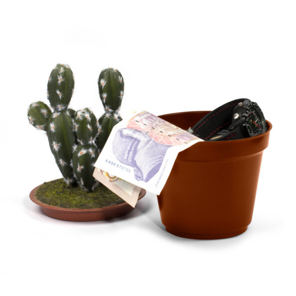 cachette bijoux argent objets de valeur faux cactus pot creux Kaktus Safe thumbs up