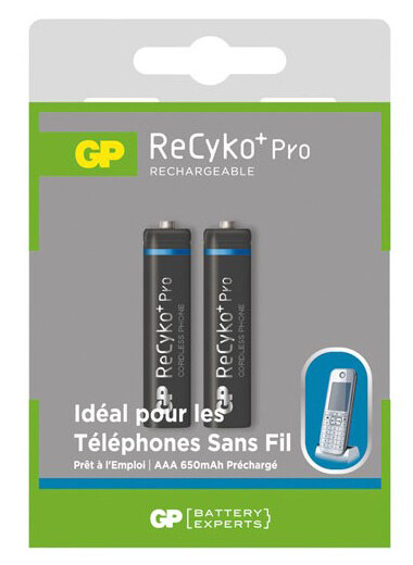 Accumulateurs AAA 650mAh spécial DECT ReCyko+ Pro - x2