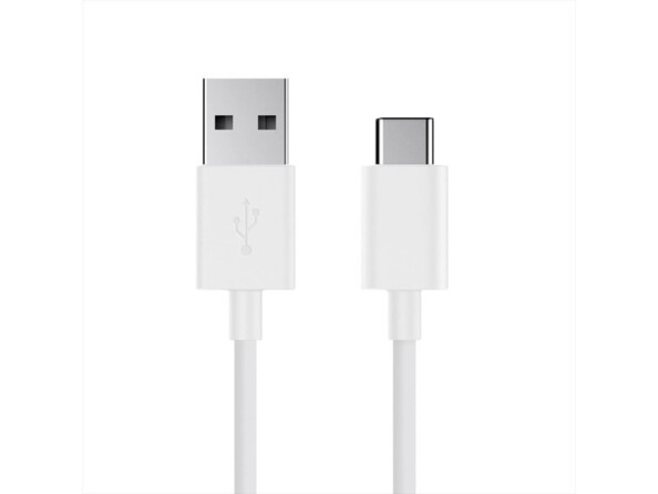 Gros plan sur les connecteurs USB-A et USB-C mâles du cordon