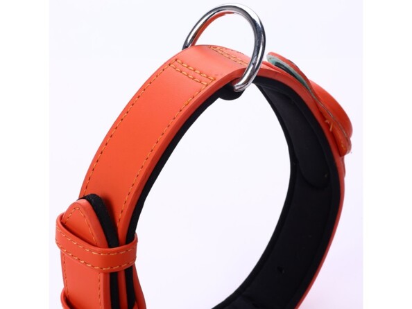 Plan rapproché sur le mousqueton pour laisse ou longe