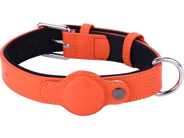 Collier connecté pour chien avec traceur GPS MiTag de la marque MiLi