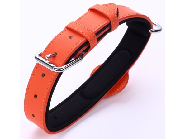 Vue du dessous de la fermeture à boucle réglable du collier pour chien avec tracker