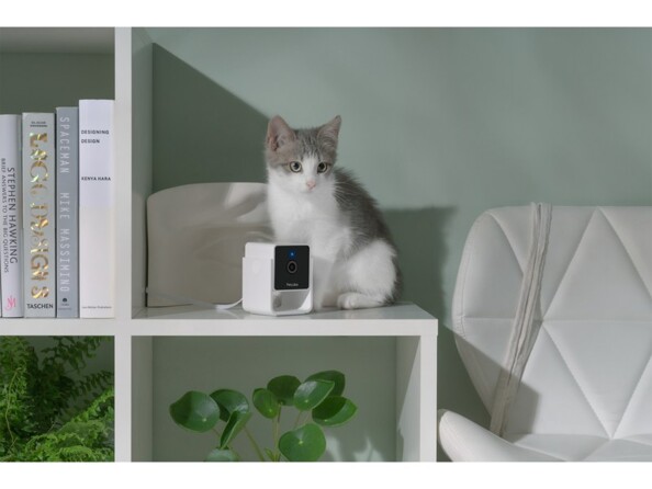 Chaton gris et blanc assis sur une case d'un meuble de rangement à côté de la mini caméra de vidéosurveillance Petcube Cam et d'un canapé