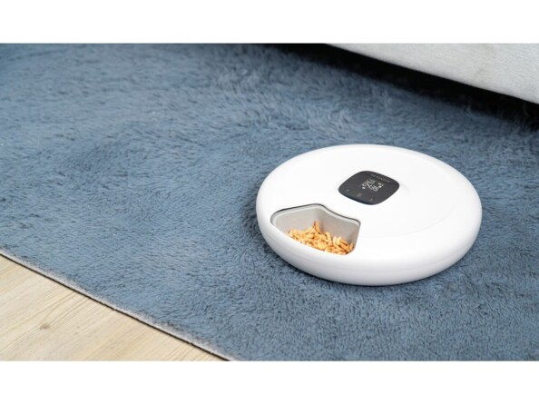 Gamelle au format galette à 6 compartiments posée sur un tapis couleur bleu avec friandise à l'intérieur de la gamelle apparente