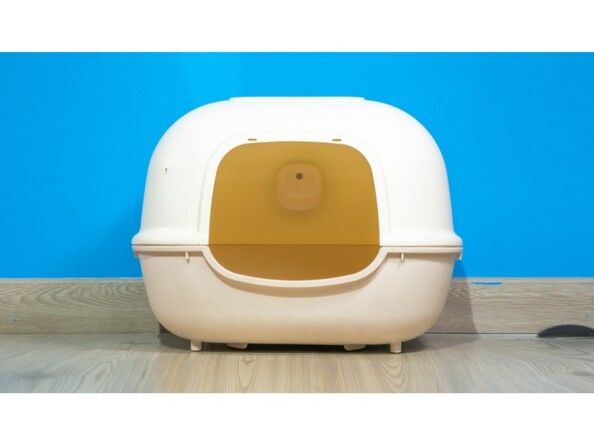 Utilisation de l'éliminateur de mauvaises odeurs et stérilisateur rechargeable dans une caisse à chat fermée