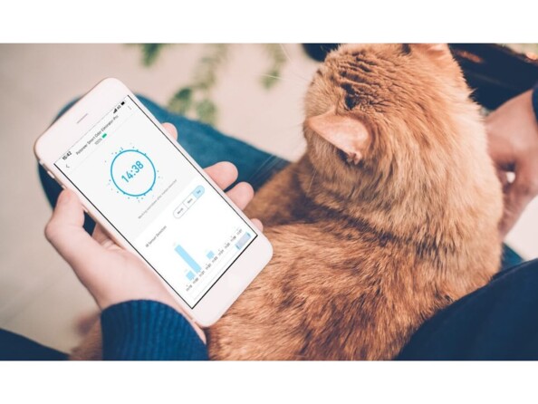 Visualisation des données transmis à l'application mobile Petoneer depuis le bac à litière par une personne assise avec son chat roux sur les genoux