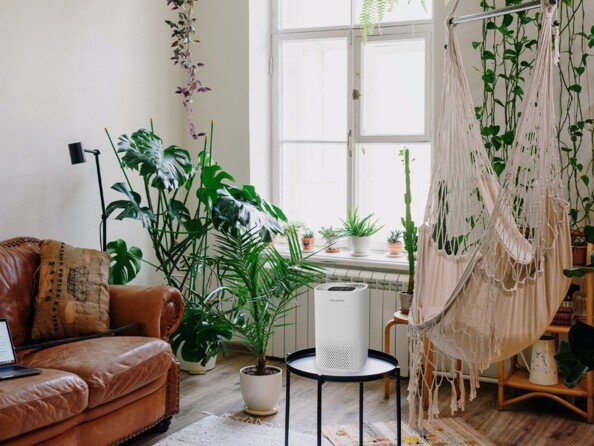 Purificateur d'air 15 m2 installé sur une table de salon autour de plantes vertes