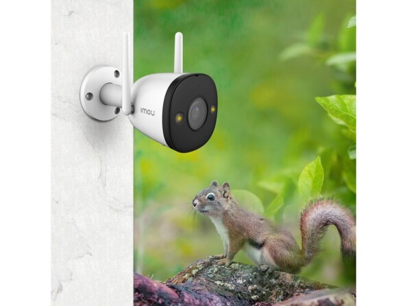 Caméra de sécurité secteur IMOU fixée à un poteau en béton et orienté vers un écureuil perché sur un arbre
