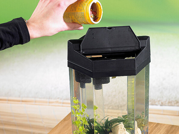 Aquarium colonne complet "Neptune"