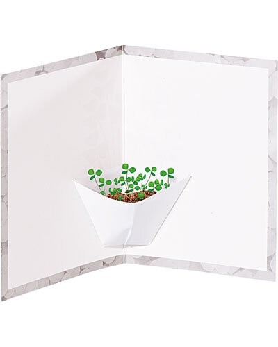 Carte de Voeux avec plante porte-bonheur