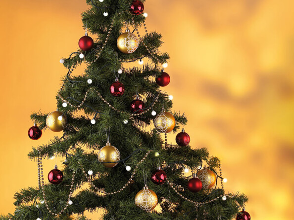 Guirlande solaire programmable - 102 LED blanches