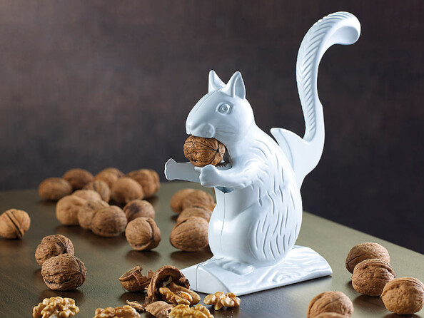 Casse-noix écureuil mise en situation avec des noix