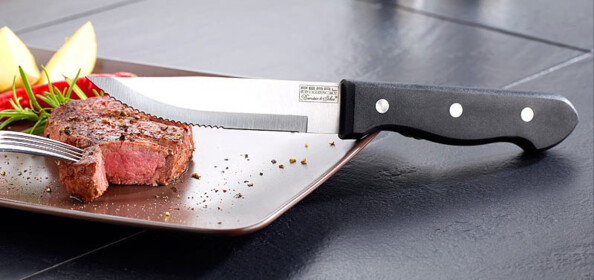 6 couteaux à viande en inox