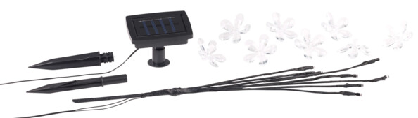 8 fleurs en plastique transparent