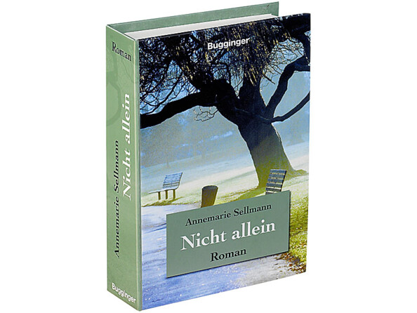 Livre coffre-fort camouflé - Petit modèle