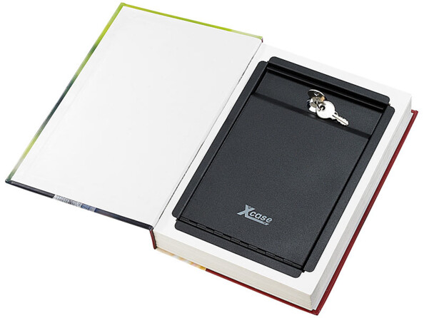 Le roman renferme bien des secrets. Il passera inaperçu parmi les autres livres