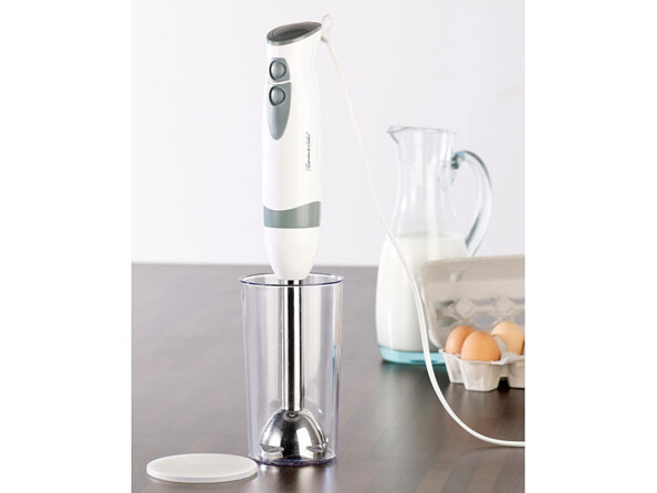 Mixeur plongeur 450 W