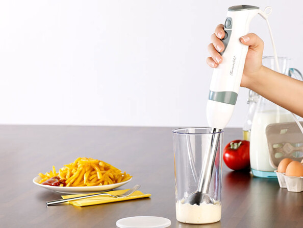 Mixeur plongeur 450 W