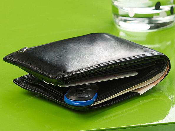 Orte clé siffleur dans un portefeuil