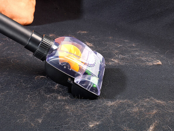 Embout brosse spécial idéal pour aspirer le poils d'animaux, fils, etc.