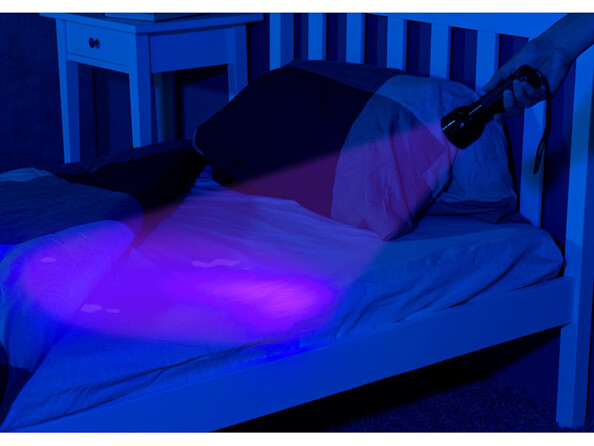 Lampe de poche LED UV pour detecter l'absence ou imitation de marques de sécurité sur un billet, tâches sur un matelas, traces de moisissures sur des murs, salissures sur un siège de toilettes publiques