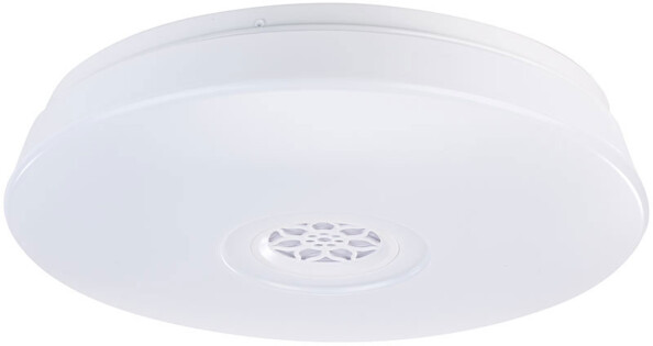 Plafonnier à LED RVBB 24 W avec haut-parleur et fonction bluetooth