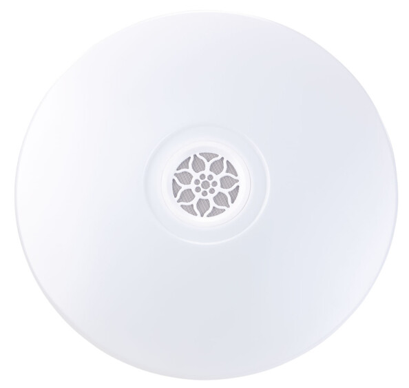 Plafonnier à LED RVBB 24 W avec haut-parleur et fonction bluetooth