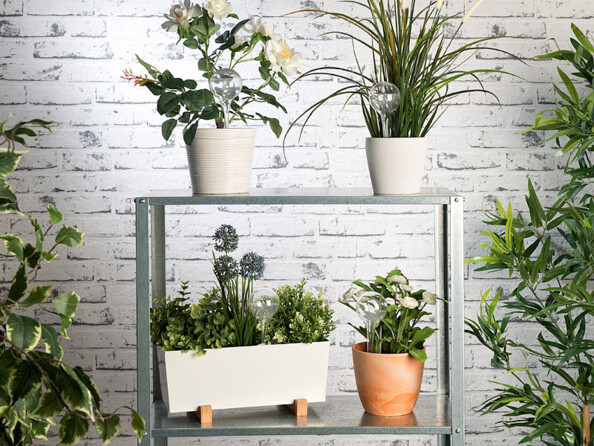 Mini doseurs d’irrigation mis en situation