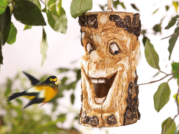 Visage d'arbre rieur pour jardin, balcon, terrasse