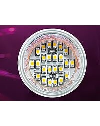 Ampoule 24 LED SMD GU5.3 blanc froid