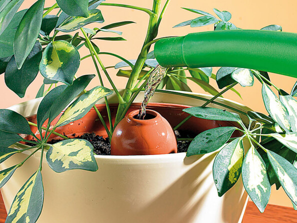 Alimentation par arrosoir d'un réservoir en terre cuite pour un arrosage progressif et autonome d'une plante en pot