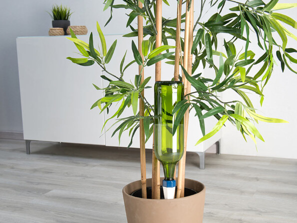 Mise en situation du système d'irrigation Royal Gardineer dans un pot contenant un bambou avec bouteille en plastique vert vissée sur la pointe en argile