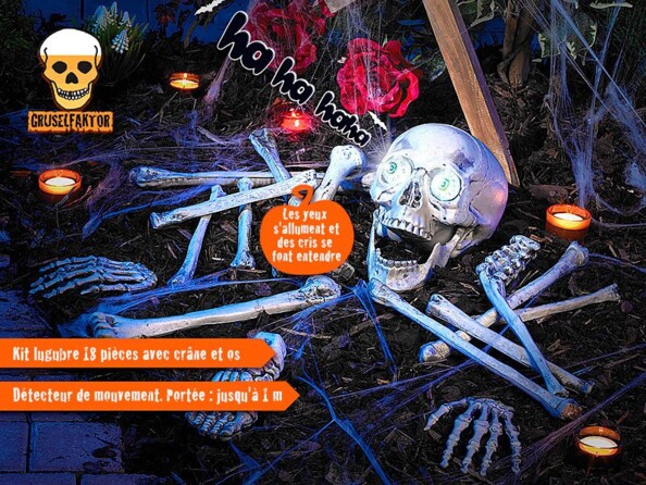 Kit Lugubre 18 Pièces : Tête de Mort et Os