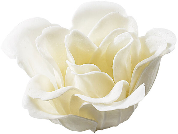 12 savons en forme de roses blanches avec 2 coffrets cadeaux
