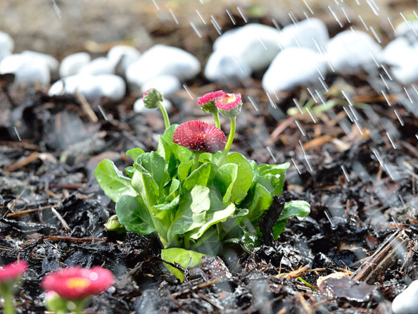 2 arroseurs de jardin à 12 buses orientables