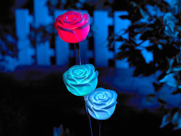 Décoration de jardin solaire à LED ''Roses Arc-en-Ciel''