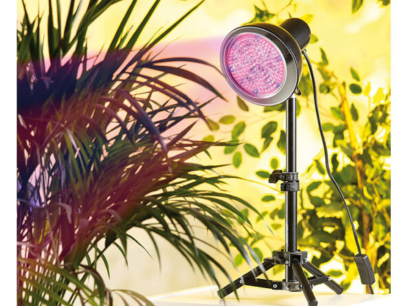 2 ampoules de croissance 168 LED E27 ''Fast Grow Pro''