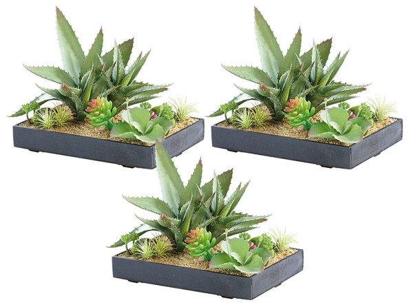 3 tableaux végétaux artificiels avec cadre - Succulentes - 30 x 20 cm