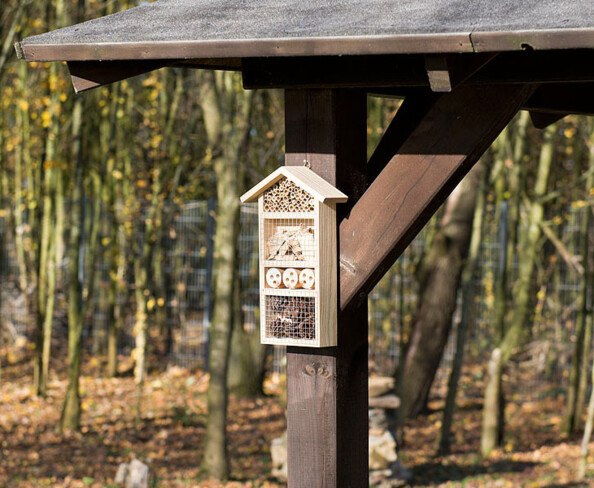 Mise en situation du nid pour insectes Royal Gardineer, format moyen, modèle Flora, fixé à une poutre en bois d'un préau situé à côté d'une forêt