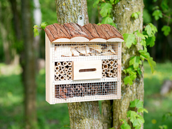 Mise en situation du nid pour insectes Royal Gardineer, format petit, modèle Marie, fixé à un arbre dans une forêt