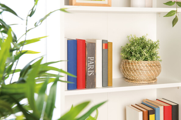 Livre coffre-fort en acier dissimulé - livre de voyage XCase