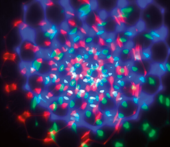 branchez les minis boules disco sur le port USB de votre ordinateur ou sur le port Lightning de votre appareil mobile !