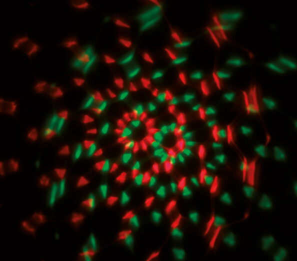 branchez les minis boules disco sur le port USB de votre ordinateur ou sur le port Lightning de votre appareil mobile !