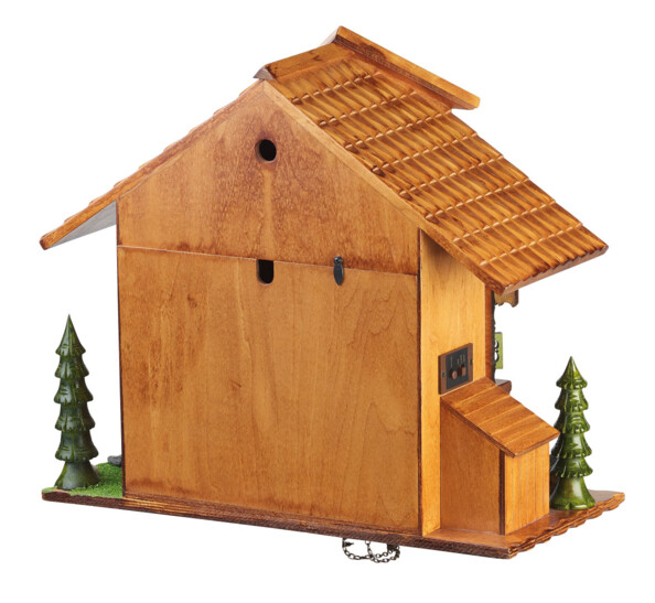 Coucou St. Leonhard vue arriére