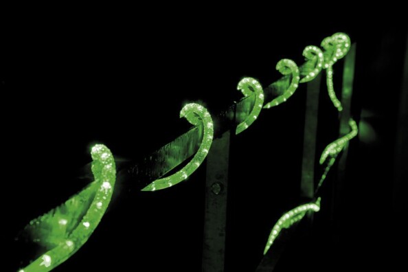 Guirlande à LED étanche IP44 (20 m) - Vert