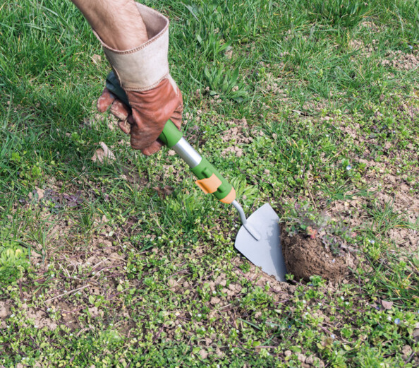 Manche à outils avec 6 ustensiles de jardinage