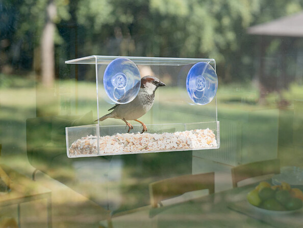 Birdious Mangeoire à oiseaux en acrylique transparent avec ventouses  puissantes et large plateau coulissant
