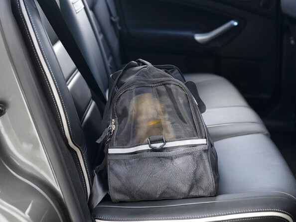 Sac de transport pour animal dans véhicule