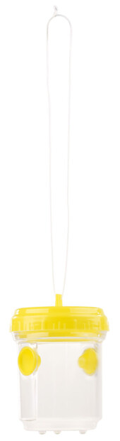 6 pièges à guêpes à poser ou suspendre