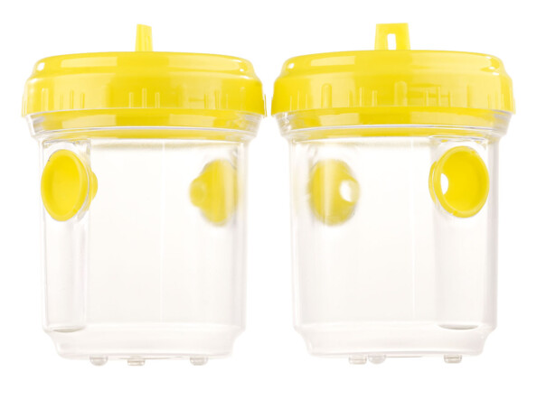 pieges a guepe avec boisson sucree biere pour été